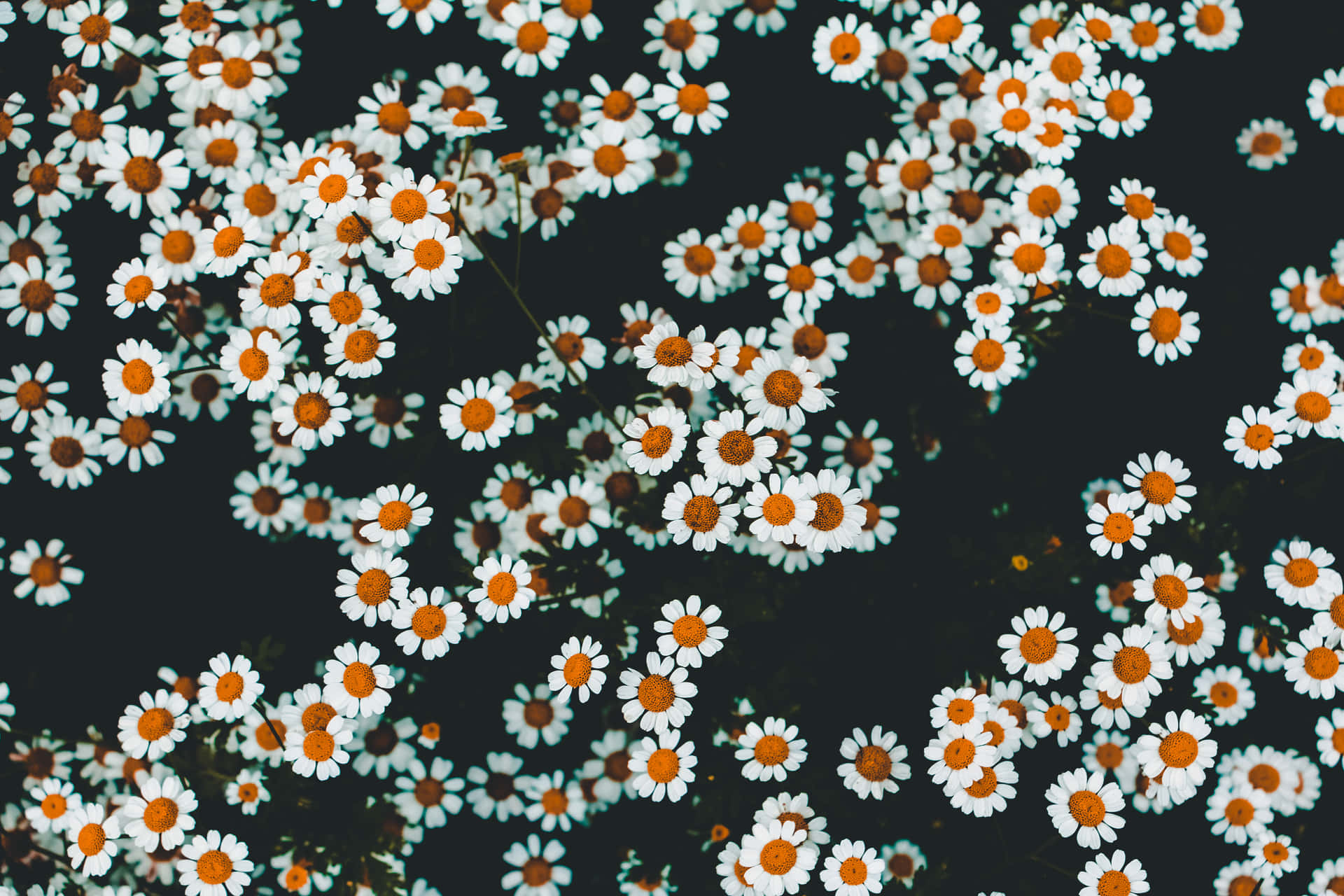 HD Satisfying Wallpaper