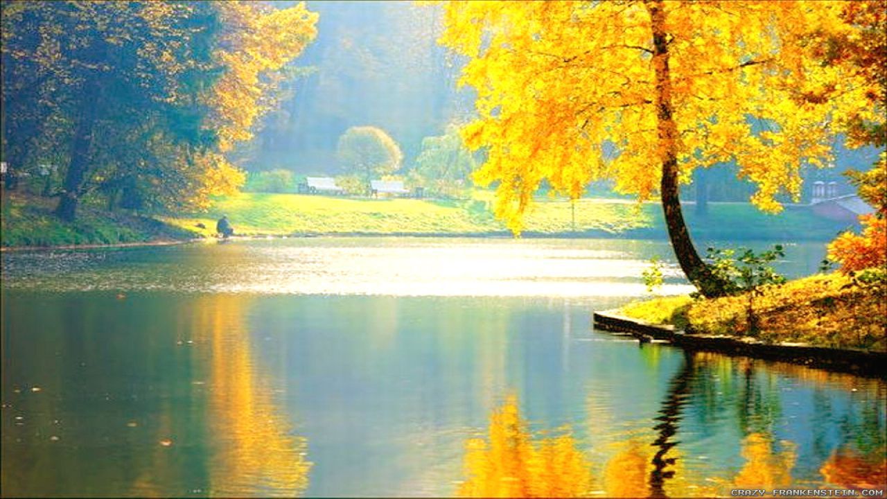 Cool Beautiful Wallpaper