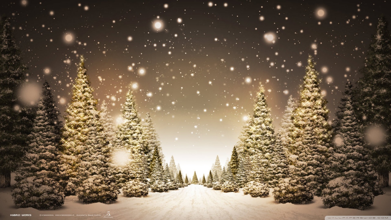 Hãy cùng chiêm ngưỡng hình nền máy tính Giáng sinh tràn đầy những cành rừng tuyết phủ, nhấp chuột để đưa mình đến với một không gian trong lành và an yên nhưng đầy phấn khởi dịp Giáng sinh này.