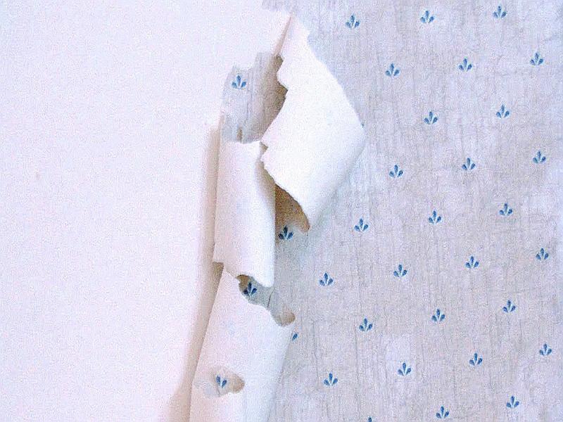 Free download Top Peel Off Wallpaper Removal [800x600] for your Desktop