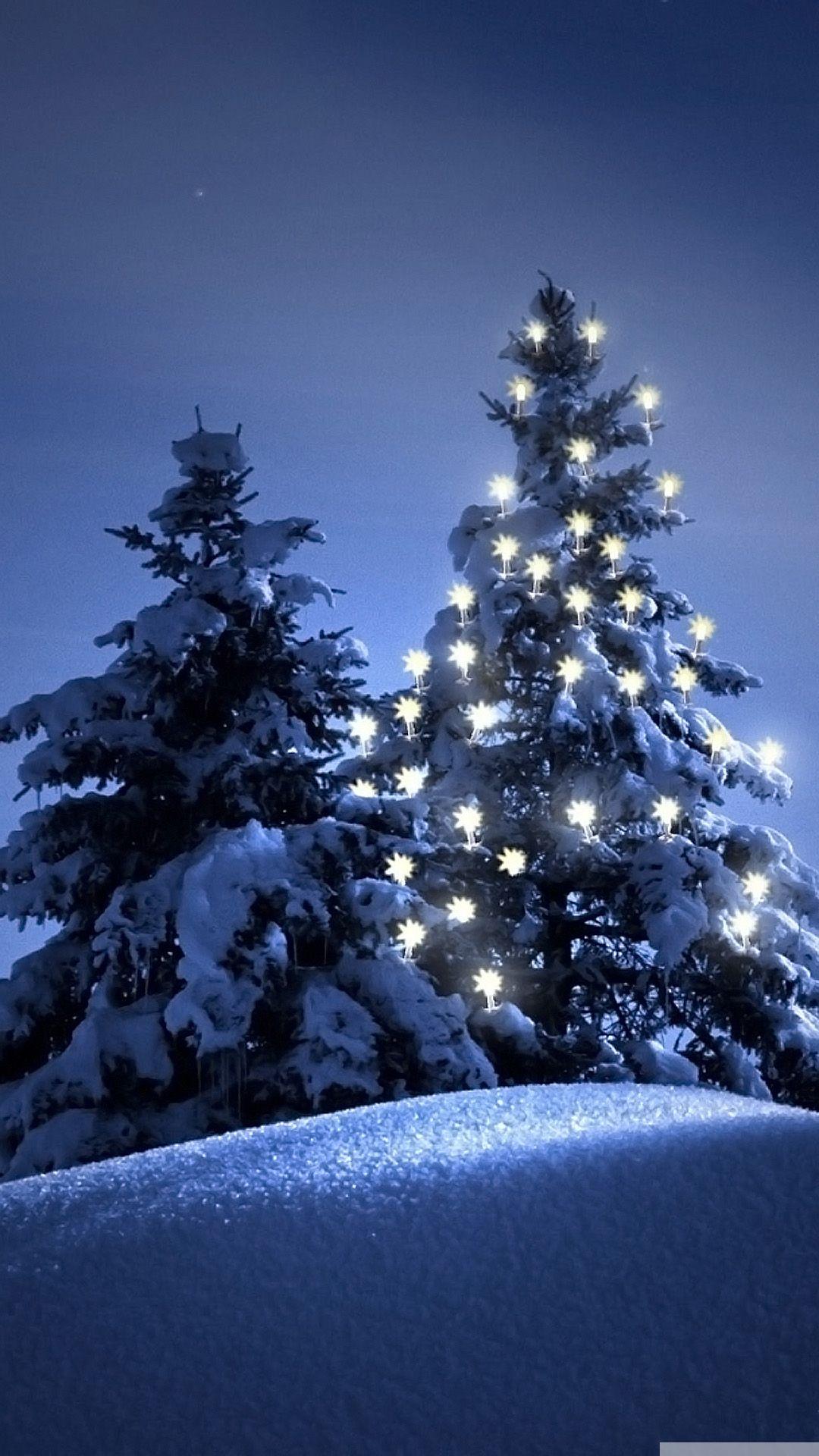 Snow Christmas Tree Winter iPhone Wallpaper