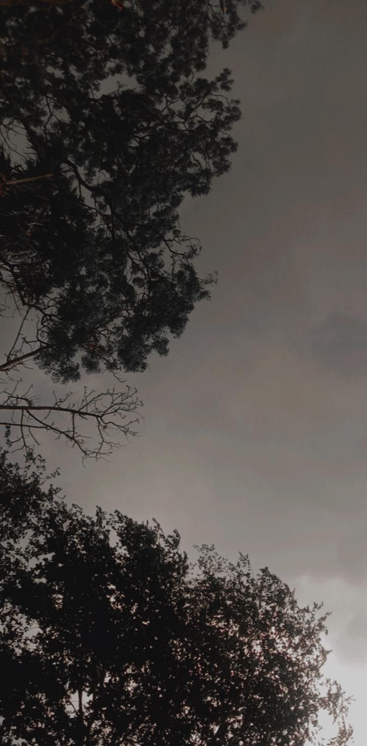 Moody Photograph Wallpaper