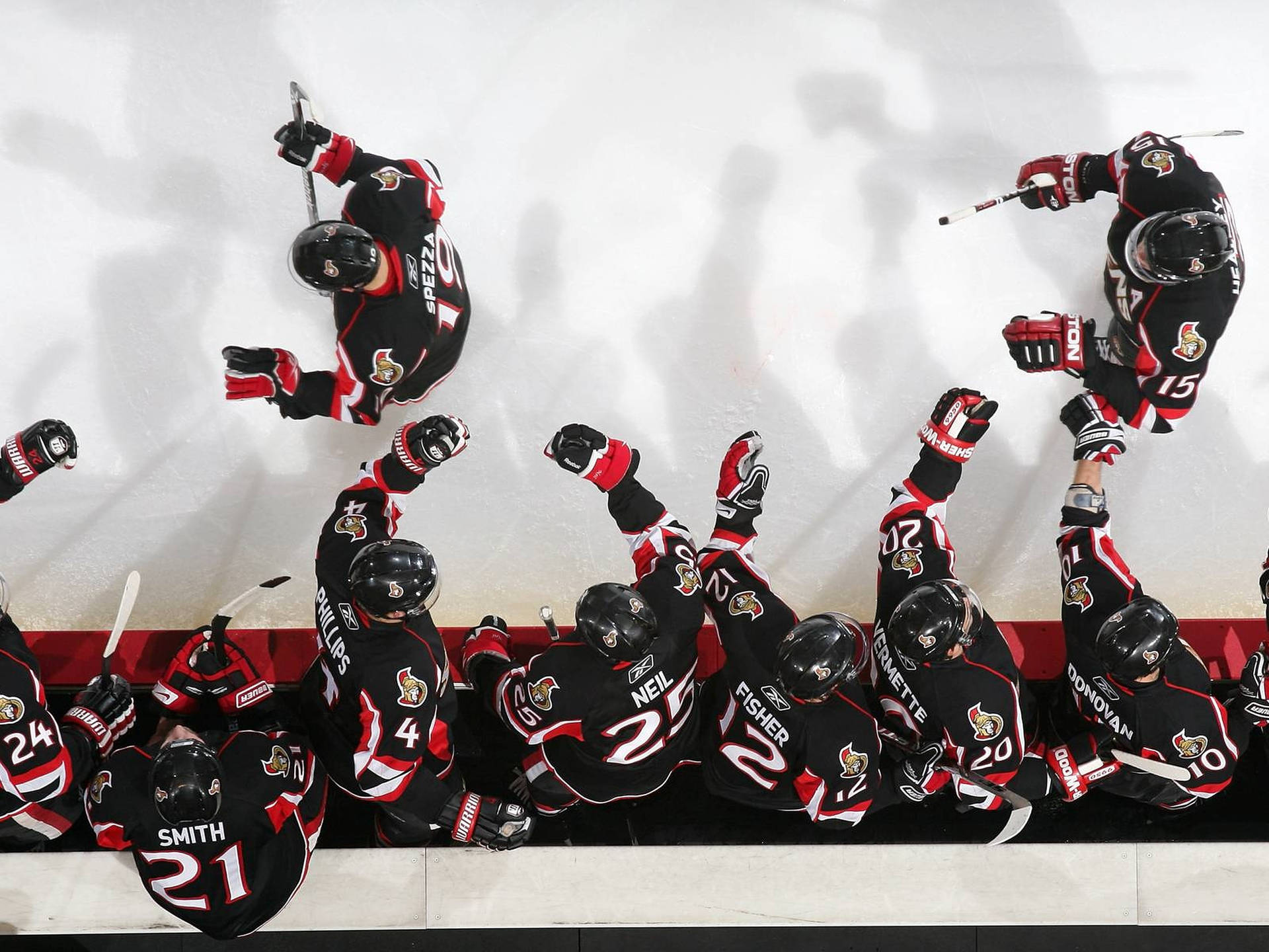 Ottawa Senators Wallpaper