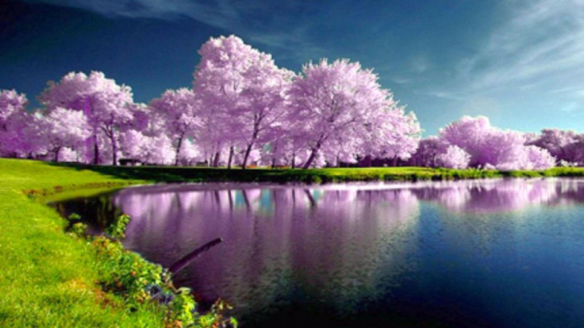 Purple Tree Wallpaper