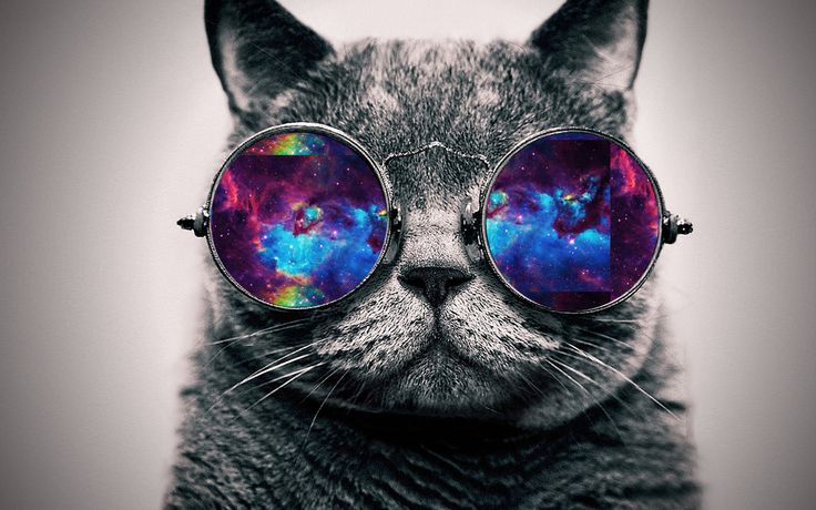 Spaces Cat Hipster Galaxies Cool Hippie Meow
