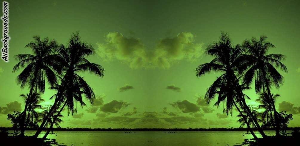 Exotic Backgrounds   Twitter Myspace Backgrounds 1005x491