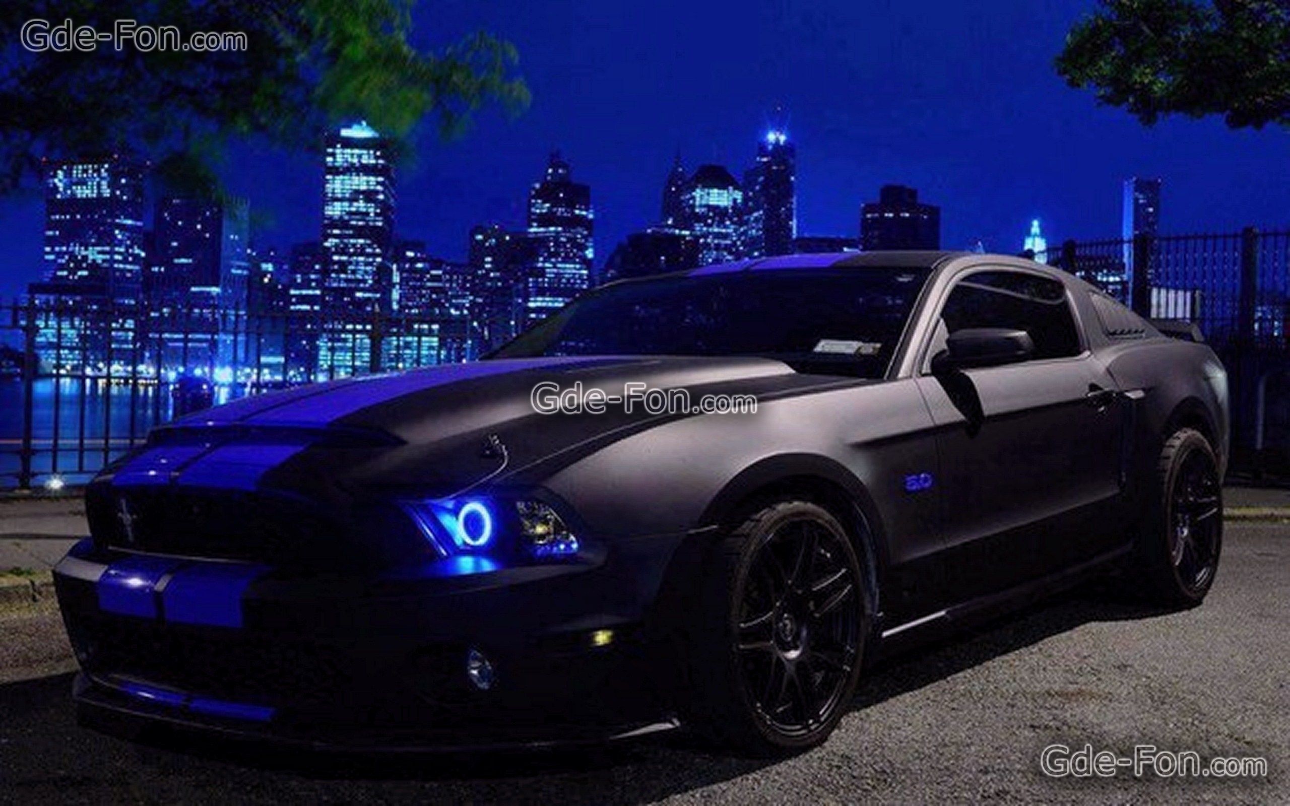 Black Mustang Cars Image Wallpaper