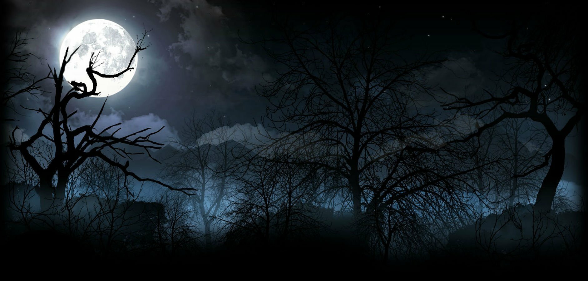 Dark Night Wallpaper