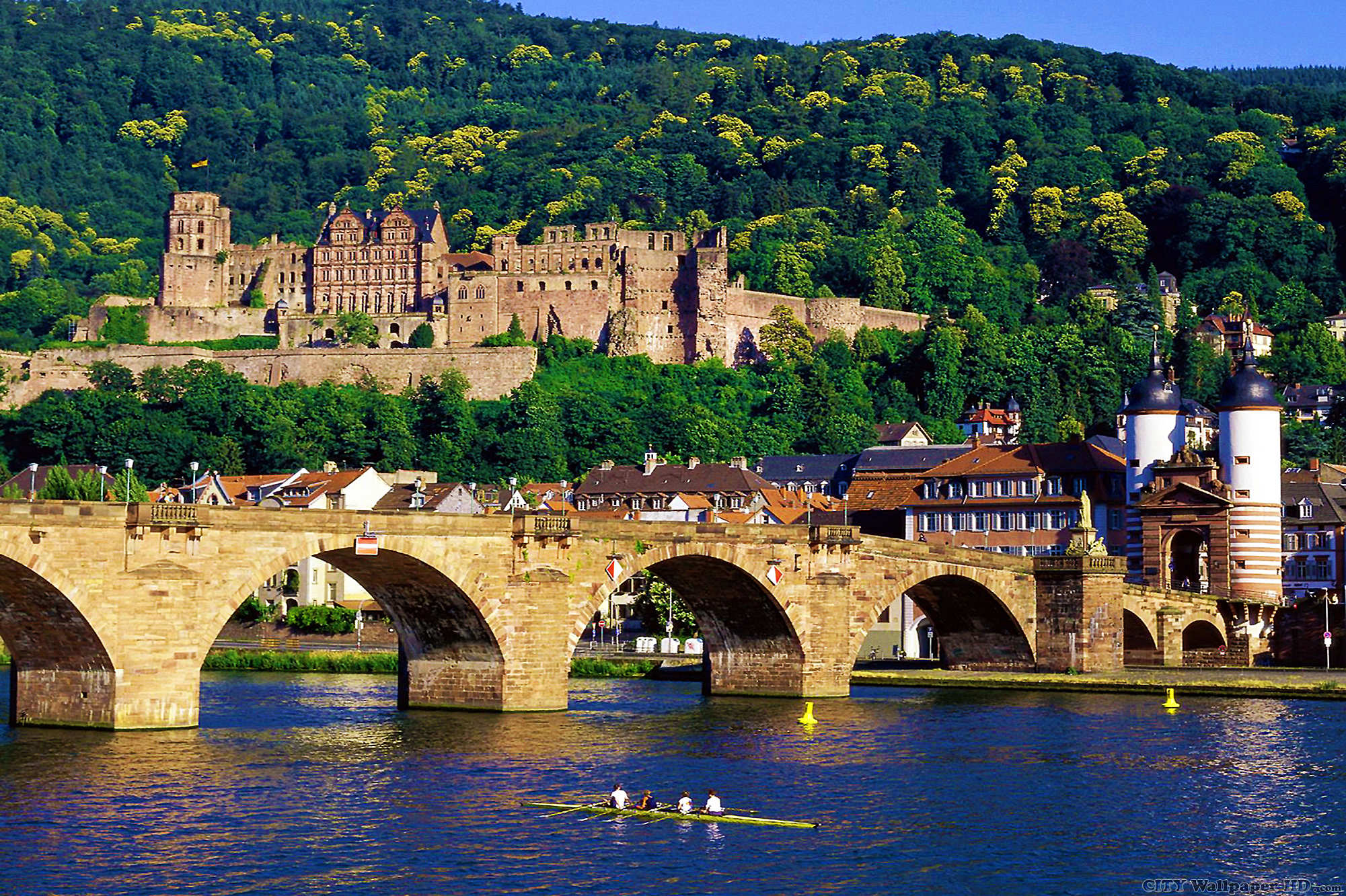 Heidelberg Germany Image HD Background With S Of