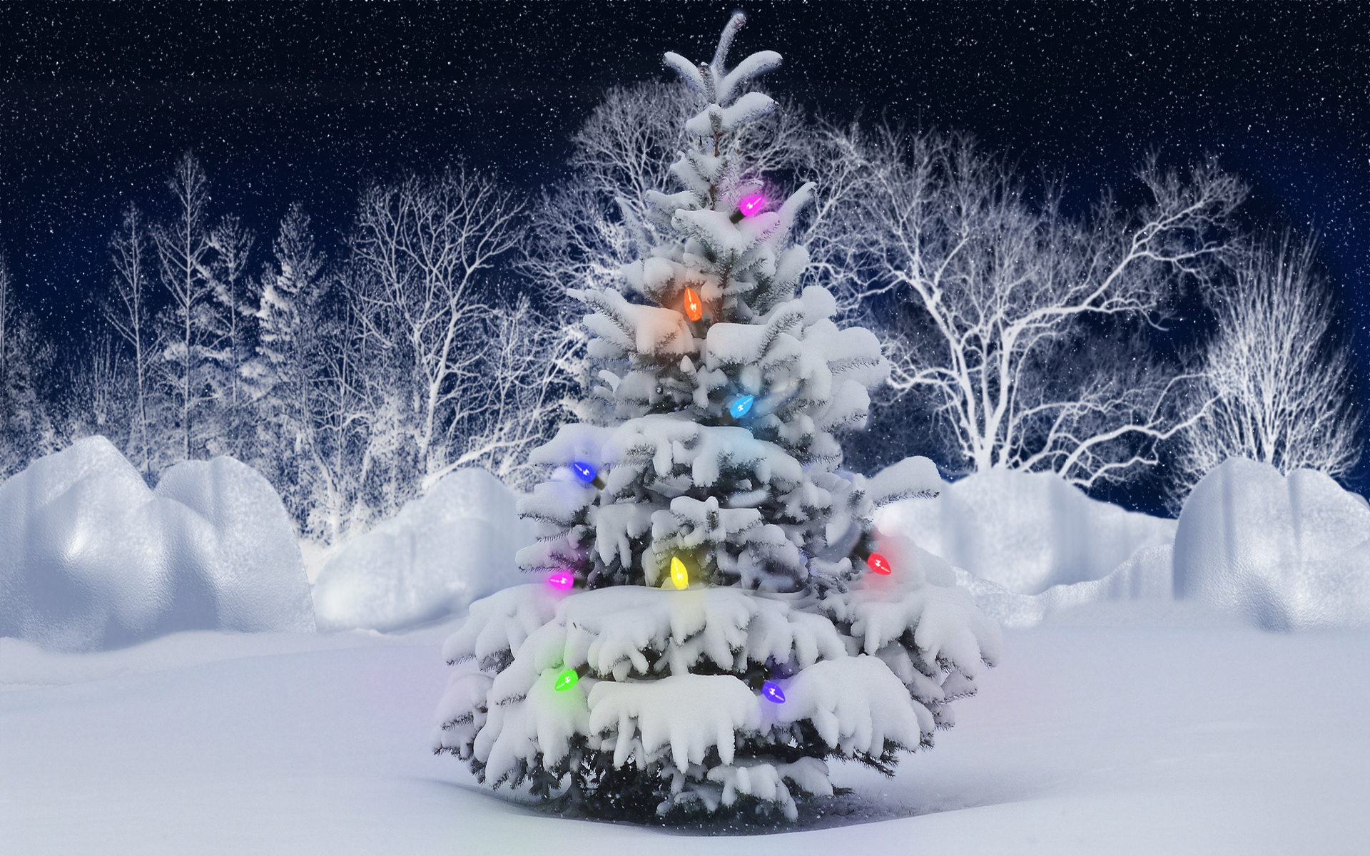 Christmas Winter Snow Lights Color Trees Seasonal Stars Sky Wallpaper