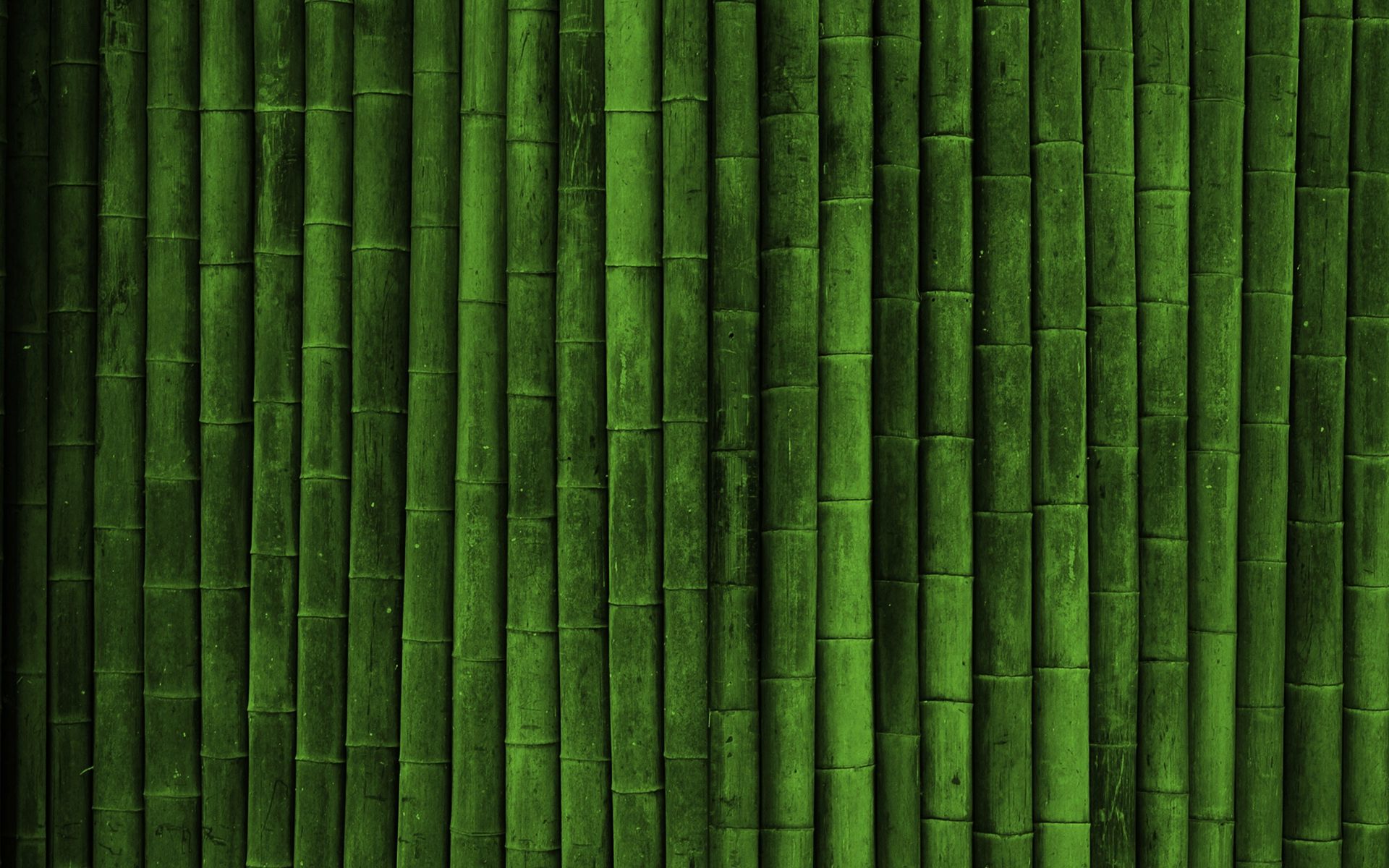 Bamboo Background Image - WallpaperSafari