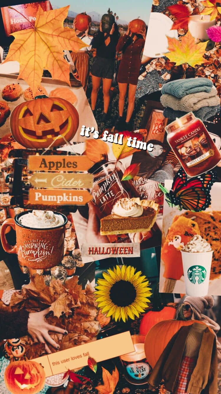 Enjoy The Best Of Autumn And Halloween With Your Iphone Wallpaper