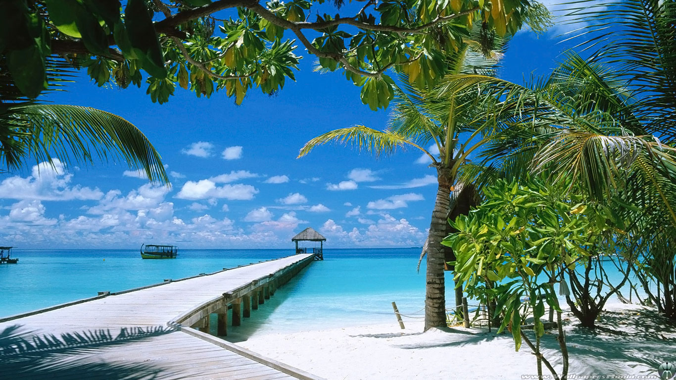 Tropical Beach HD Desktop Wallpaper Of
