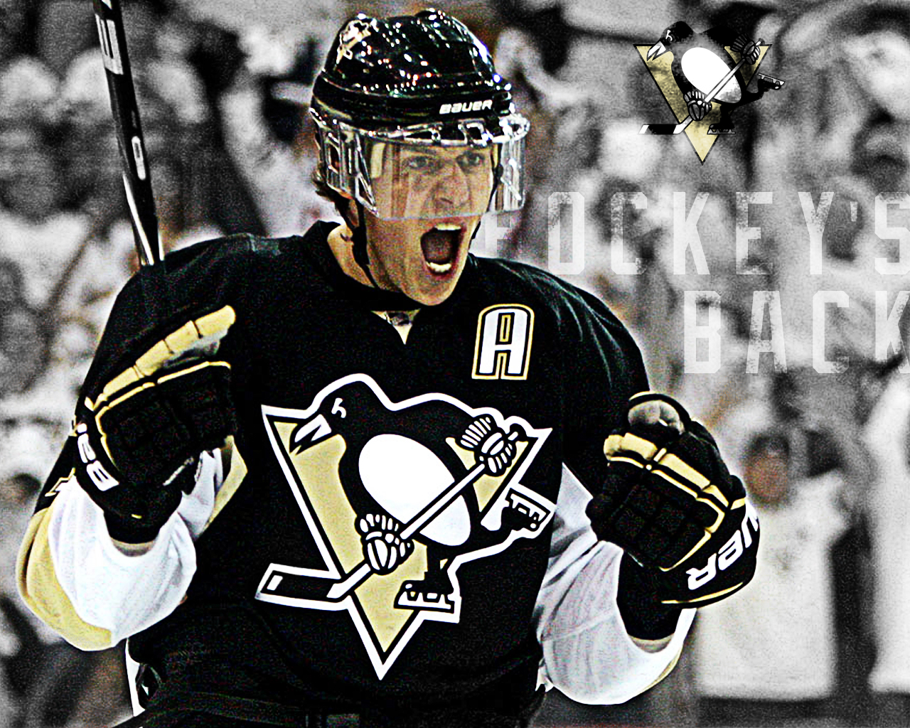 Welcome to Pittsburgh Sports Fan Wallpapers 1280x1024