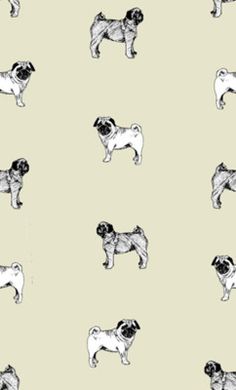 Free download 1000 images about Pugs onPug Pug cartoon [236x390] for your  Desktop, Mobile & Tablet | Explore 93+ Cartoon Pugs Wallpapers | Cartoon  Backgrounds, Free Cartoon Wallpaper, Cartoon Panda Wallpaper