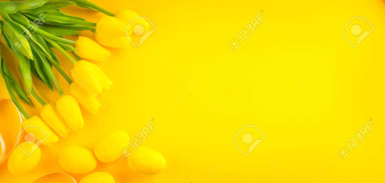 Free download Easter Background Bright Yellow Eggs And Bunch Of Spring  Blooming [1300x619] for your Desktop, Mobile & Tablet | Explore 19+ Yellow  Background | Yellow Wallpapers, Yellow Roses Wallpapers, Yellow Background  Image