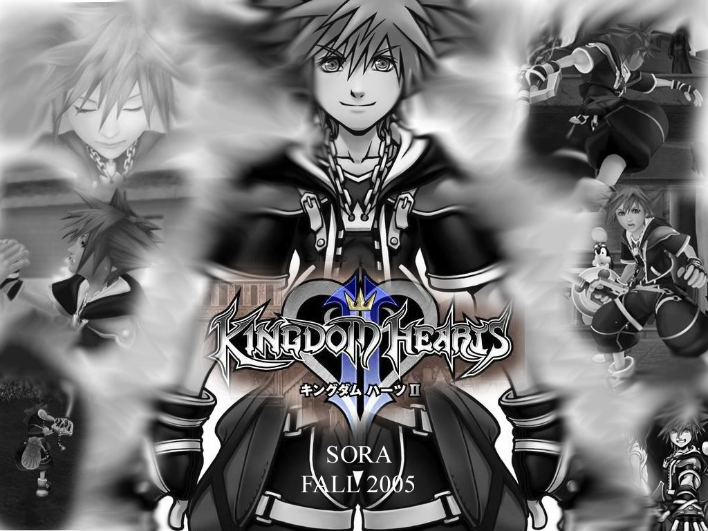 Kingdom Hearts wallpaper kingdom hearts vs sonic the hedgehog