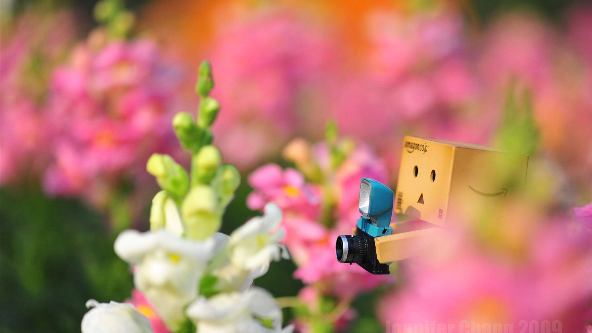 Cute Background Wallpaper Pc Danbo Is High Definition You