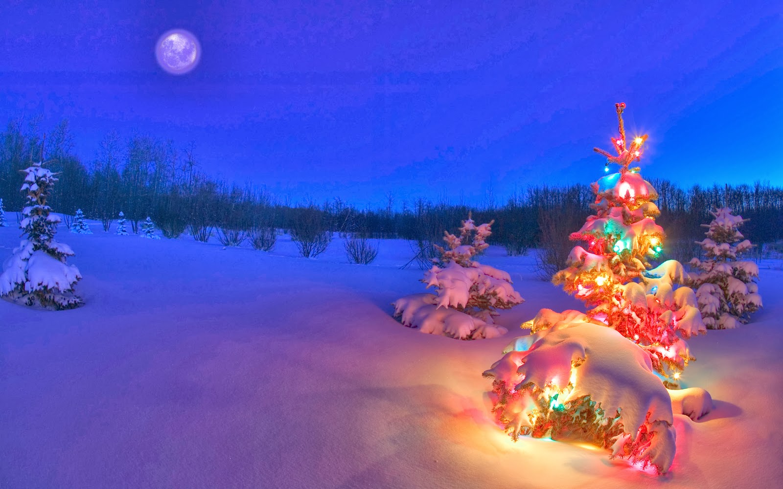 A Christmas tree decorated with colorful lights stands in a snowy field under a full moon