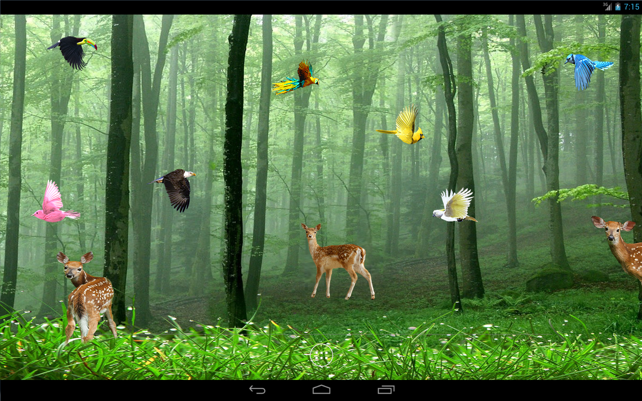 Rain Forest Live Wallpaper Android Apps On Google Play
