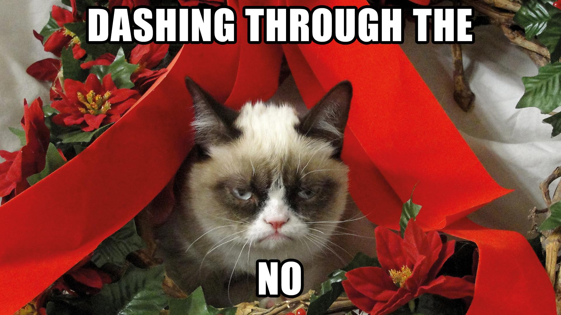 Grumpy Cat Meme Pictures Humor Funny Cats Christmas Wallpaper