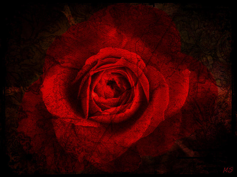 Download 41 Gothic Roses Wallpaper On Wallpapersafari Wallpaper HD. | 