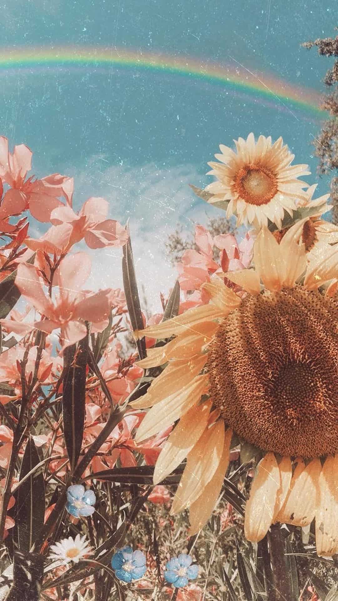 Aesthetic Boho Wallpaper HD