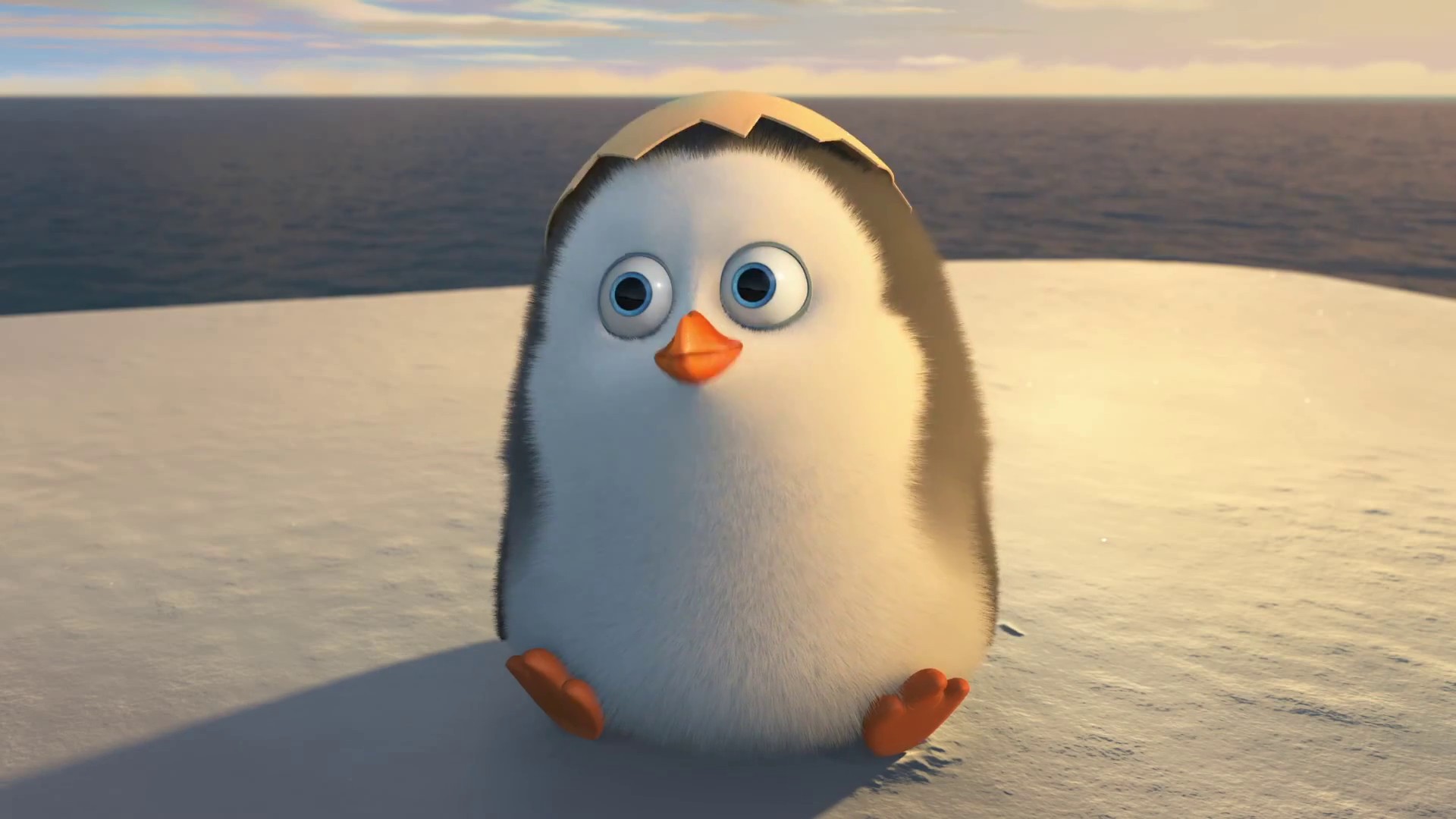 The Penguins Of Madagascar Movie Cute Baby Penguin Wallpaper