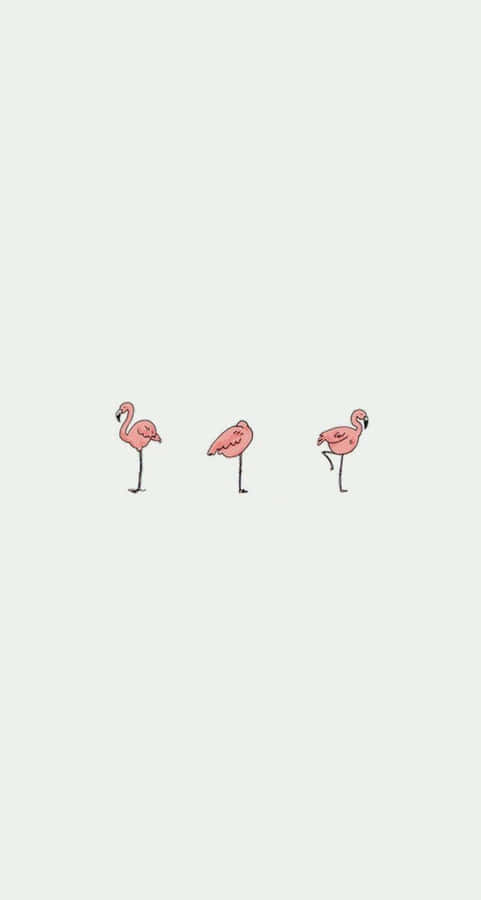 iPhone Simple Cute Wallpaper S