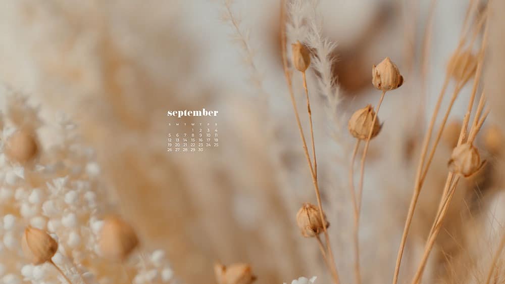 September 2021 wallpapers 35 FREE calendars for desktop and phones