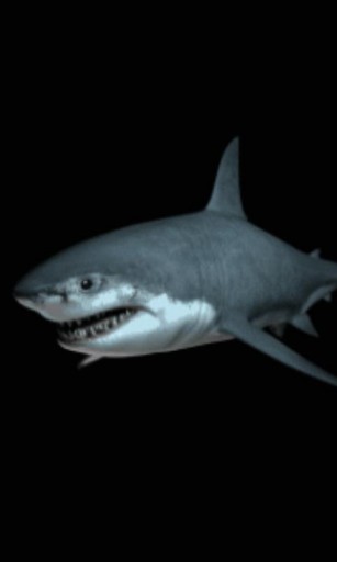 Bigger Shark Live Wallpaper For Android Screenshot