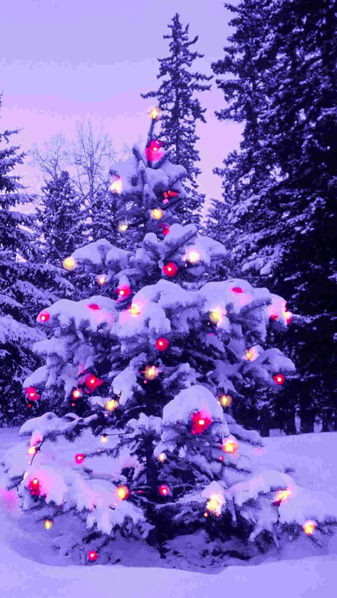 Download Purple Pine Tree Christmas IPhone Wallpaper