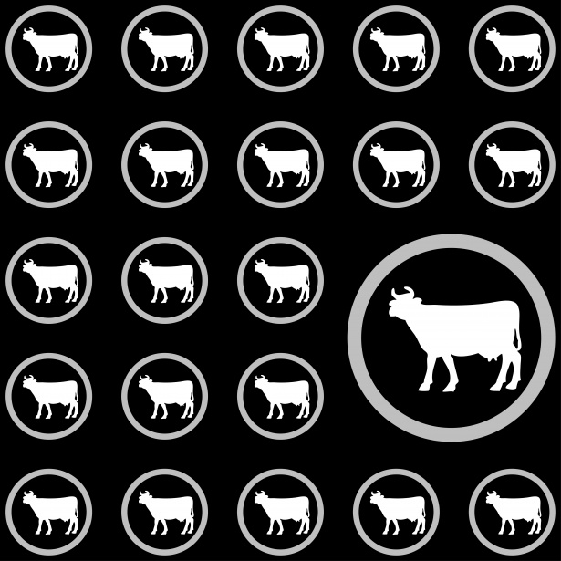 Cow Wallpaper Pattern Background Stock Photo Public Domain