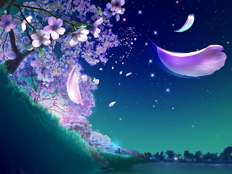 3D Beautiful Night Sky HD Wallpapers Free Download Hd Wallpapers 2u