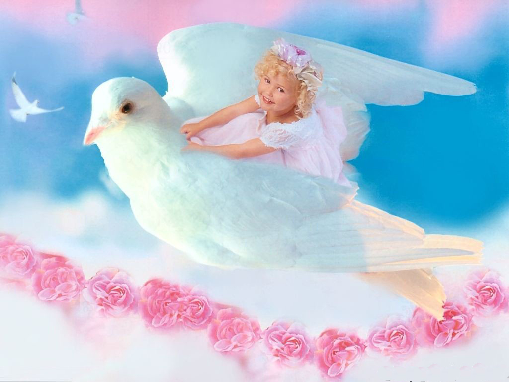Beautiful Angel Sweet Baby High Resolution HD Wallpaper Desktop