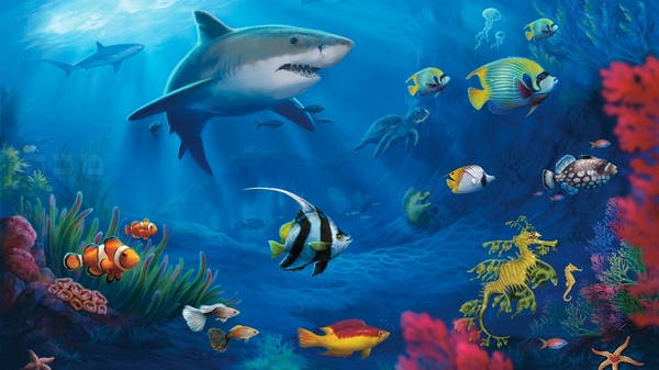 Live Sharks Underwater Sealife Fish Wallpaper Desktop
