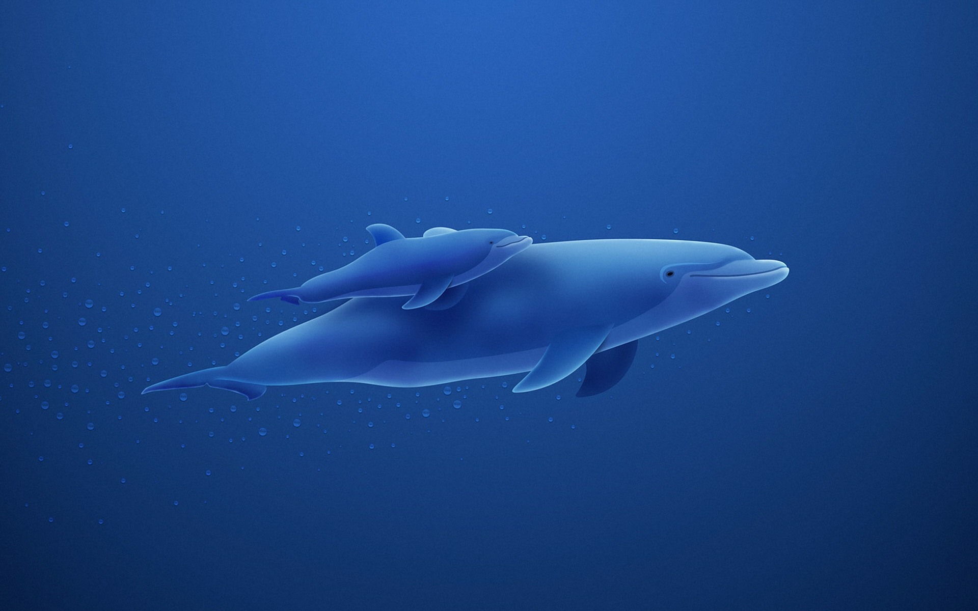 Dolphins Desktop Wallpaper