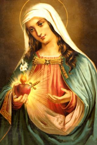 Virgin Mary HD Live Wallpaper Android Informer The