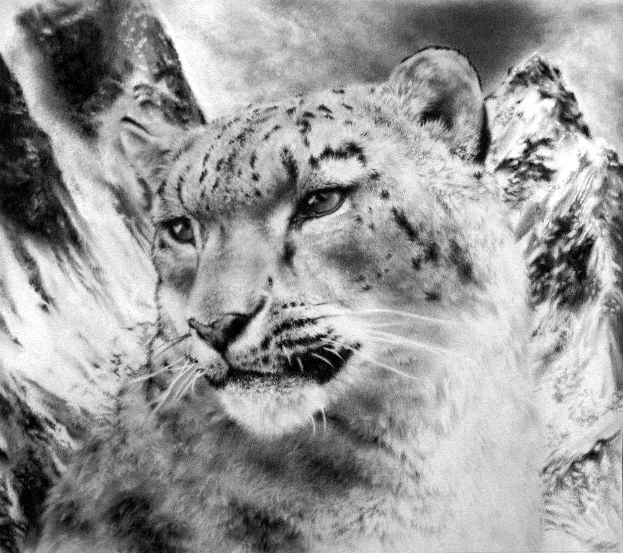 Snow Leopard By Madmanhales