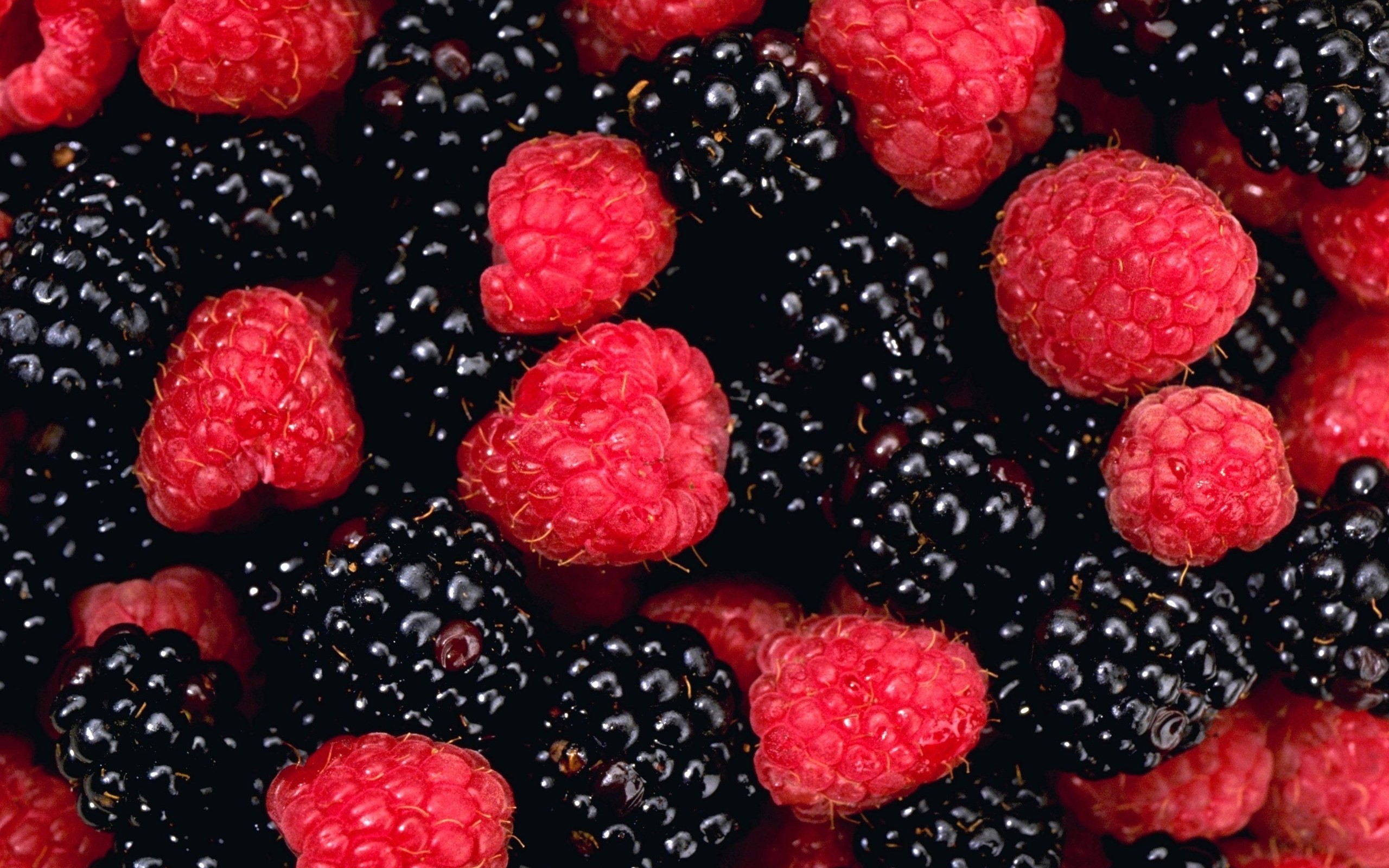 Blackberry Fruit Wallpaper HD Photos