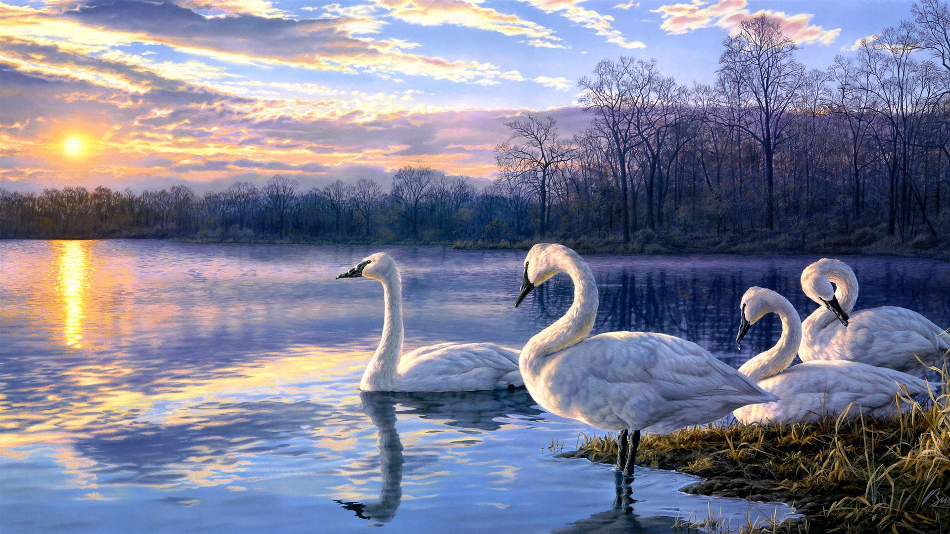 Art Painting Swan Lake Sunset Landscape Wallpaper HD
