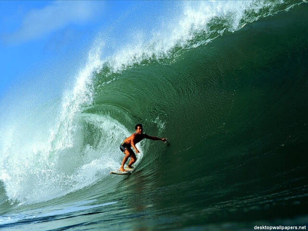 Surfing Wallpaper Jpg
