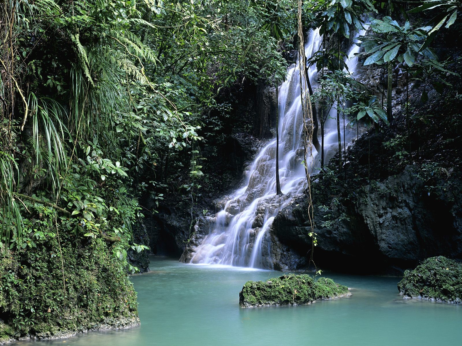 Forest Jamaica Wallpaper Waterfalls
