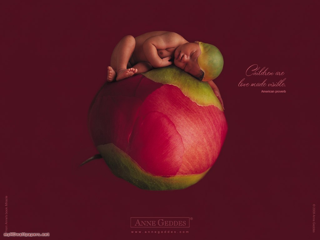 Anne Geddes Fall Wallpaper For Desktop Pictures To