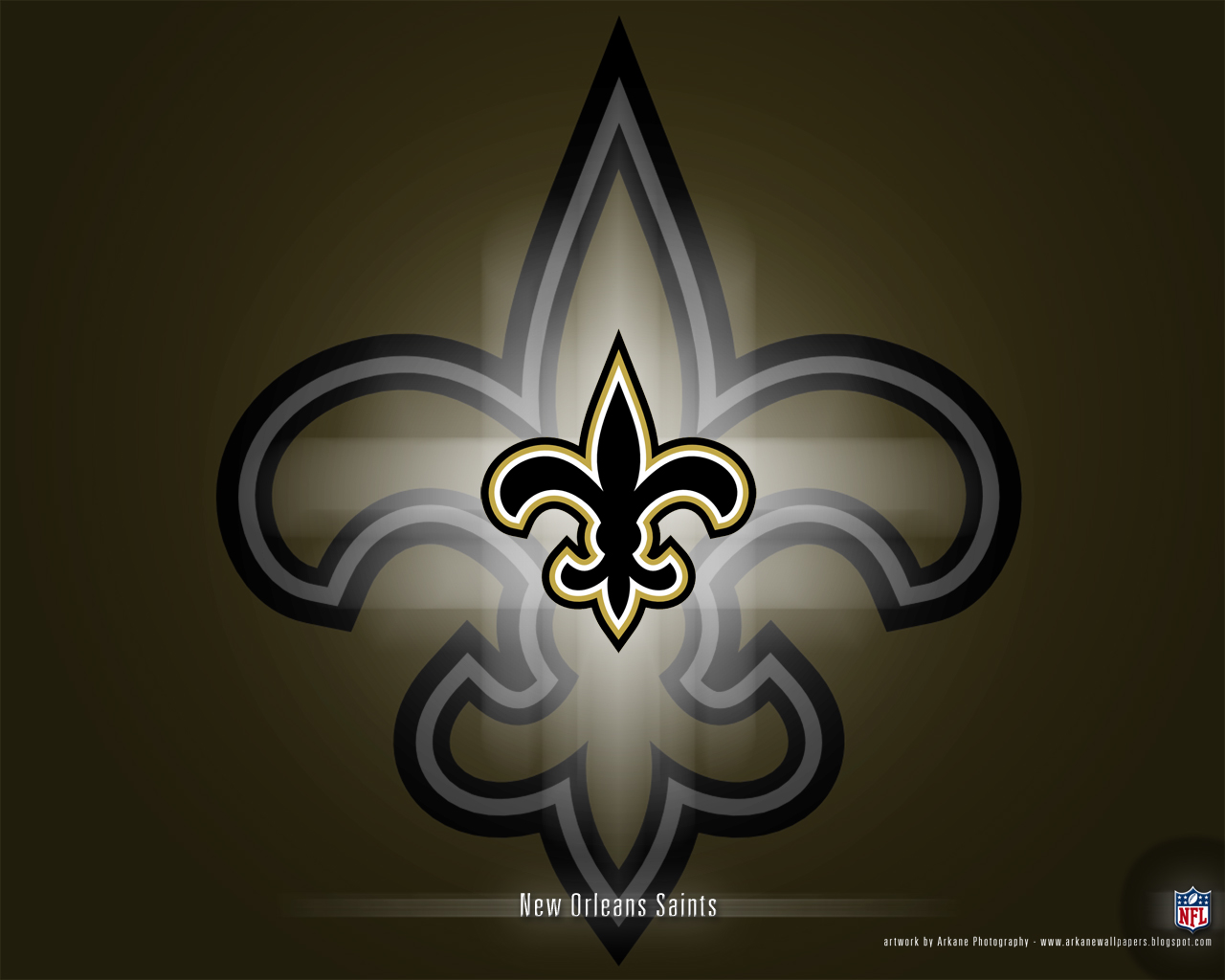 New Orleans Saints Vol