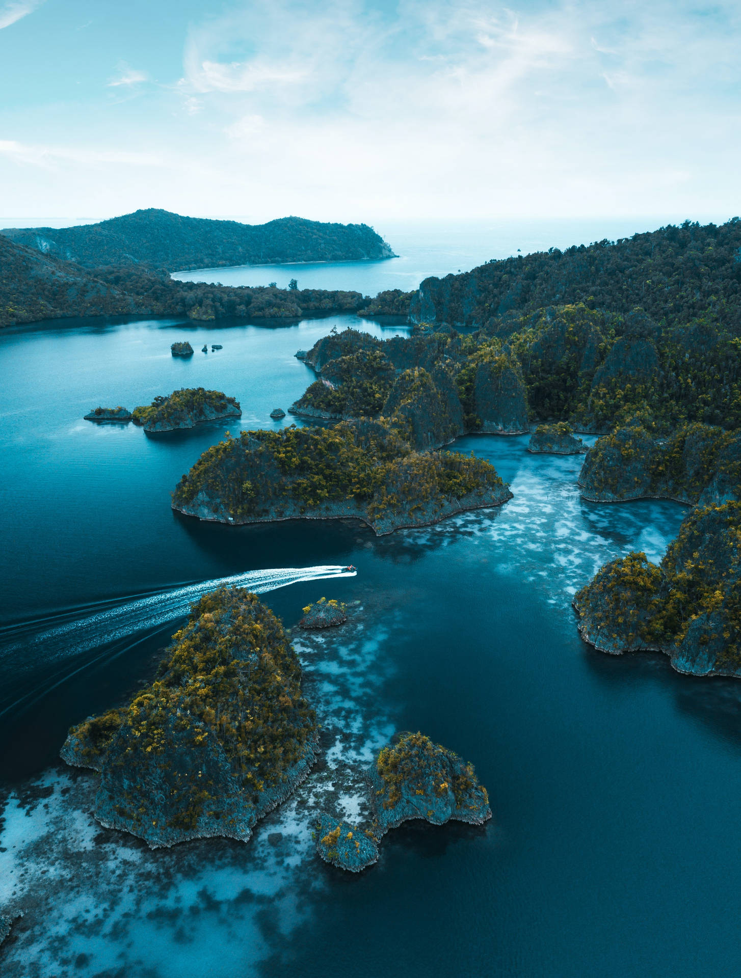 HD Nature Phone Wallpaper