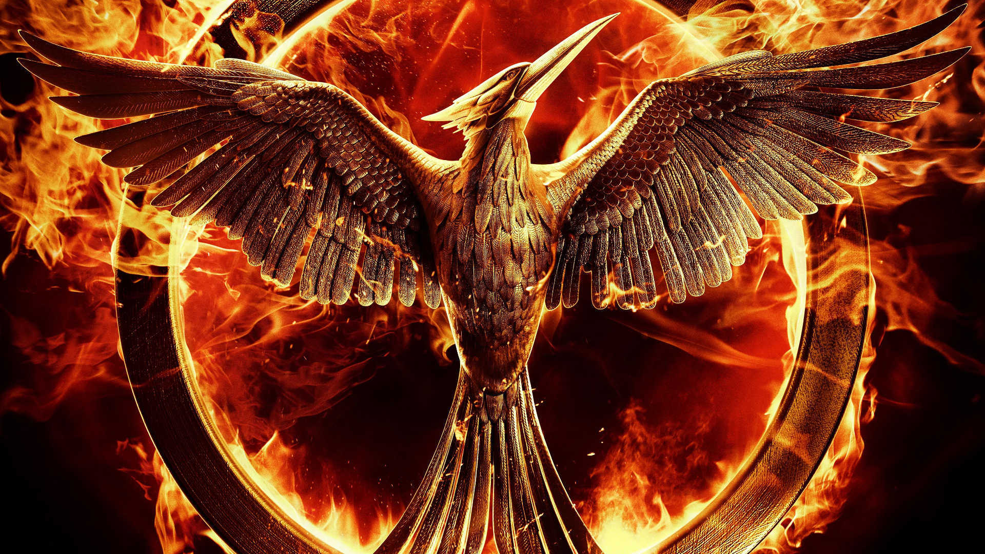  The Hunger Games Mockingjay Part 1 Wallpapers HD 02 hdwallwidecom