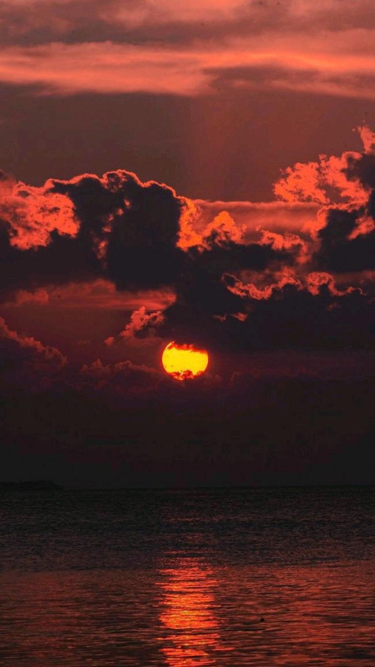 3f46f45b1d9876e92a32040831d0d3b4 Wallpaper