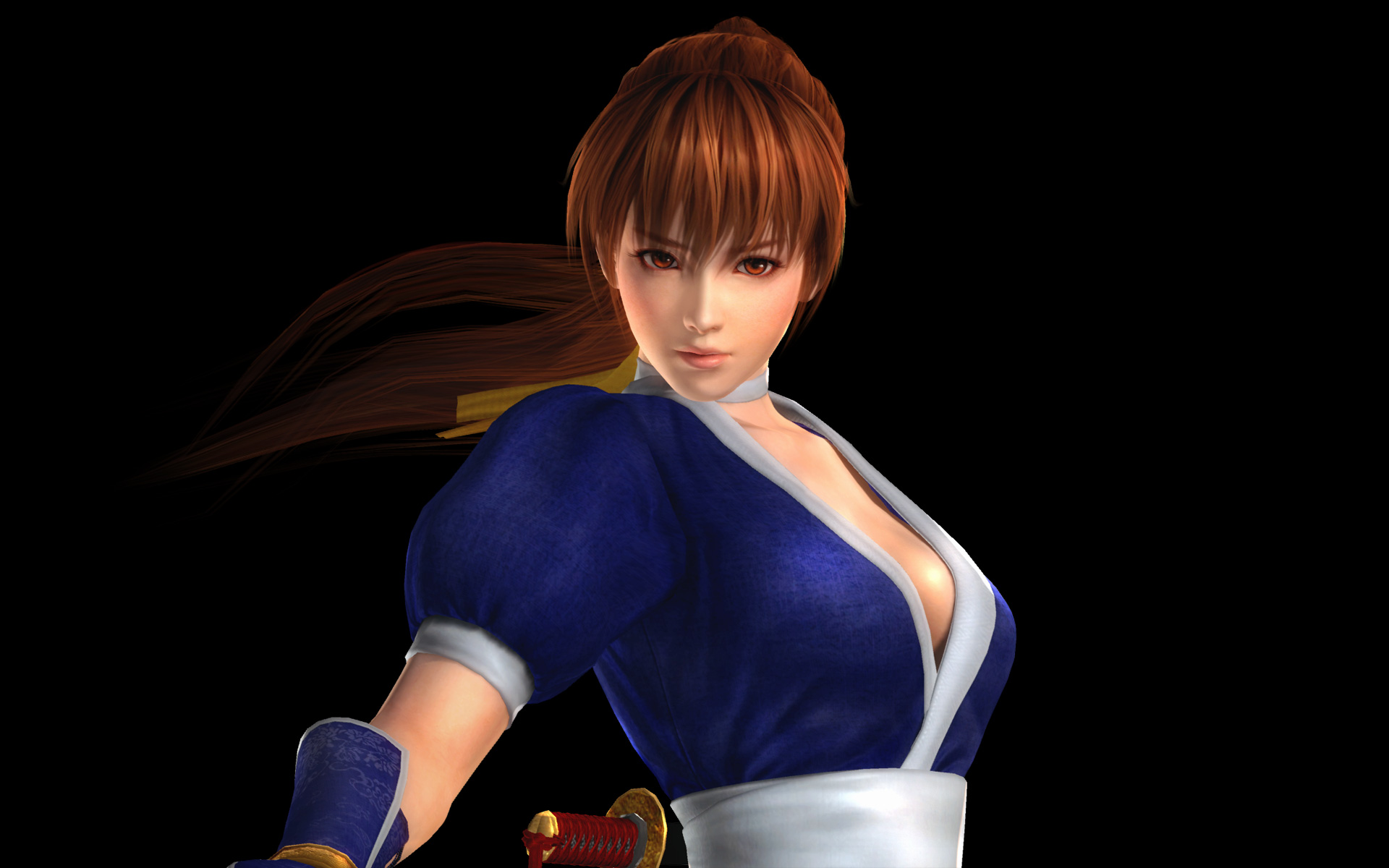 Dead Or Alive Doa5 Web By Ok