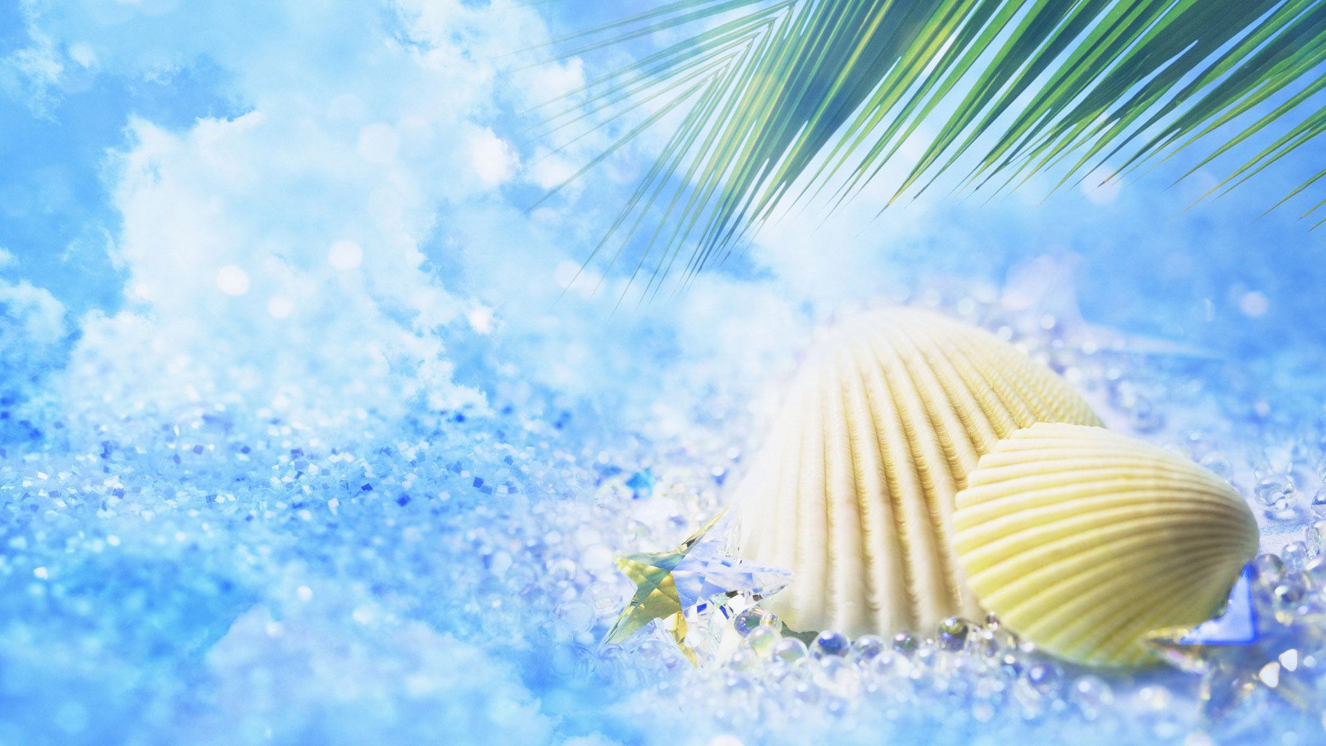 Heart-shaped seashells on a sparkling beach with palm leaves and blue sky, evoking a tranquil summer vibe